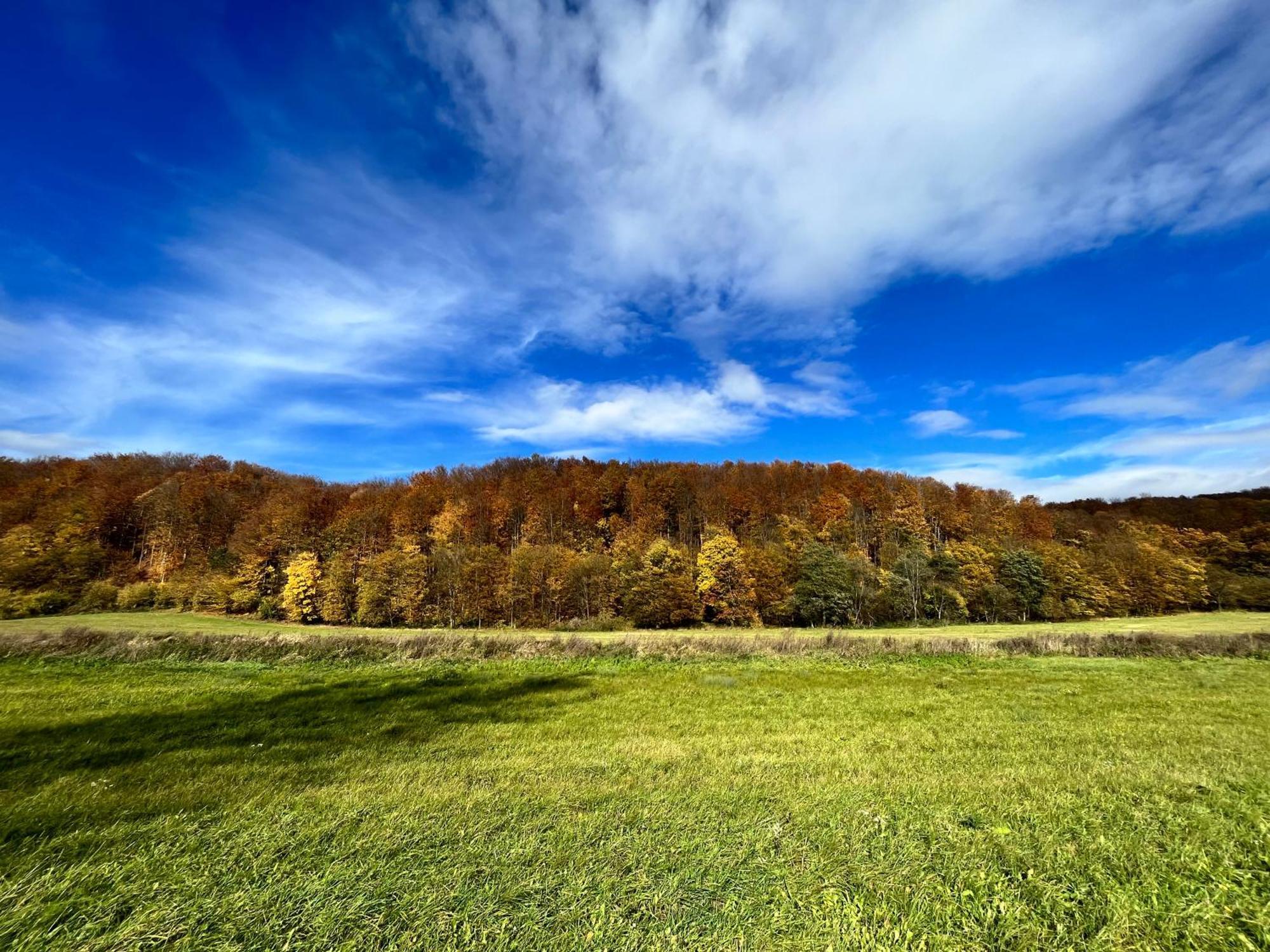 Domki Nad Stawem Uherce Uherce Mineralne Bagian luar foto