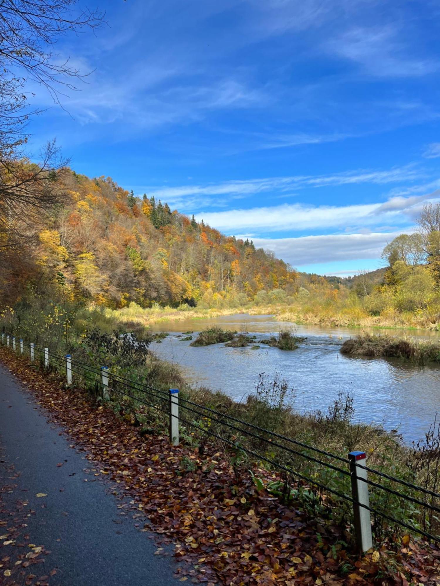 Domki Nad Stawem Uherce Uherce Mineralne Bagian luar foto